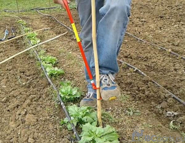 Rod planter1
